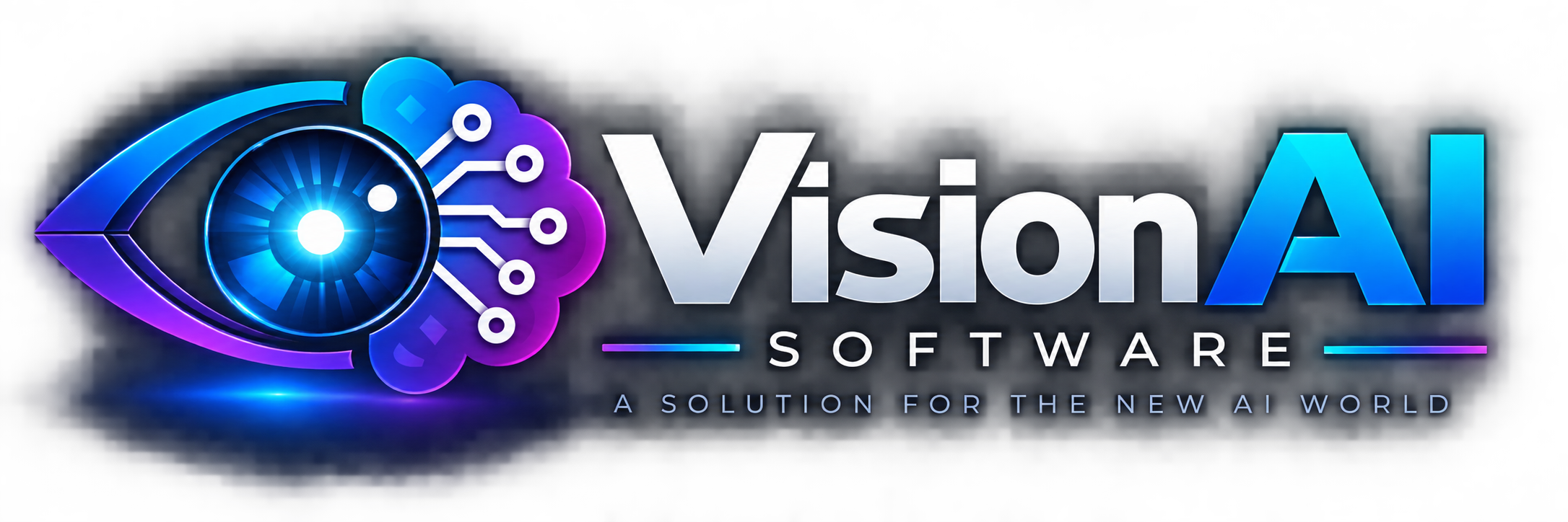 Vision AI Software